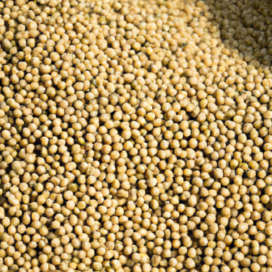 Soya Beans